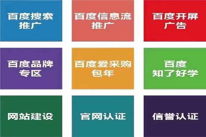 成功案例：竞价推广助力品牌打造知名品牌